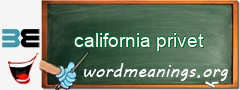 WordMeaning blackboard for california privet